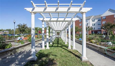 chester village senior living.